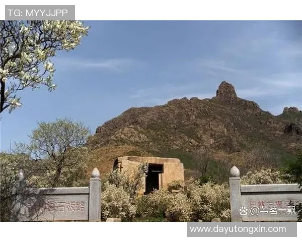 探索奥蓬达的魅力与历史深入了解这座城市的文化与风俗 探索奥蓬达的魅力与历史深入了解这座城市的文化与风俗